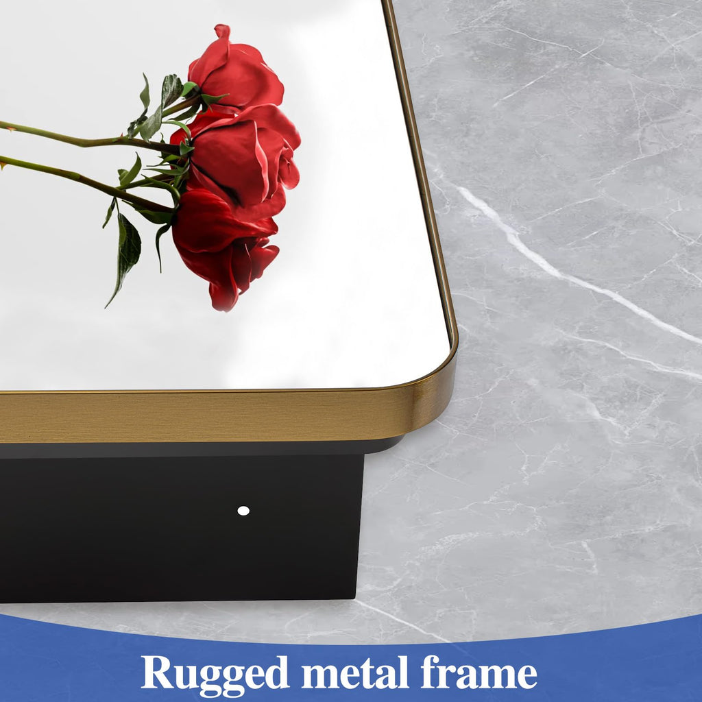 16" x 20" Bathroom Medicine Cabinet with Mirror Door, Brush Gold Stainless Steel Frame, Recessed or Surface
