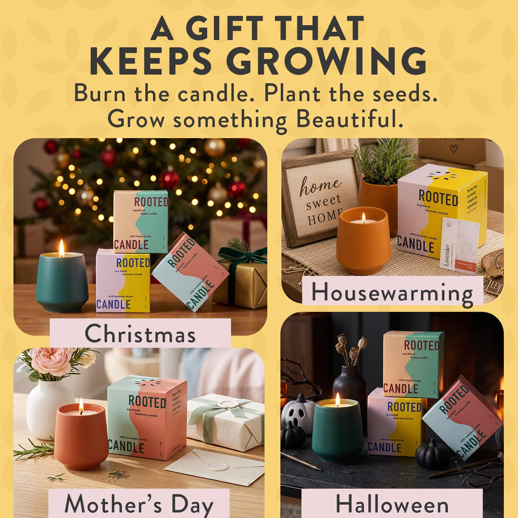Soy Candle Planter - Grows Lavender - Cedarwood Scent - 6 oz