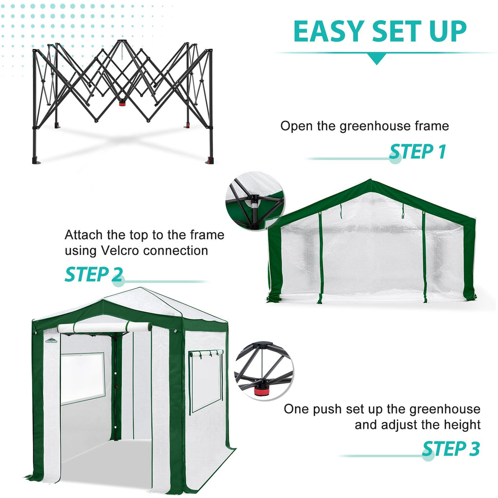 8x6 Walk in Pop Up Greenhouse, Green/White