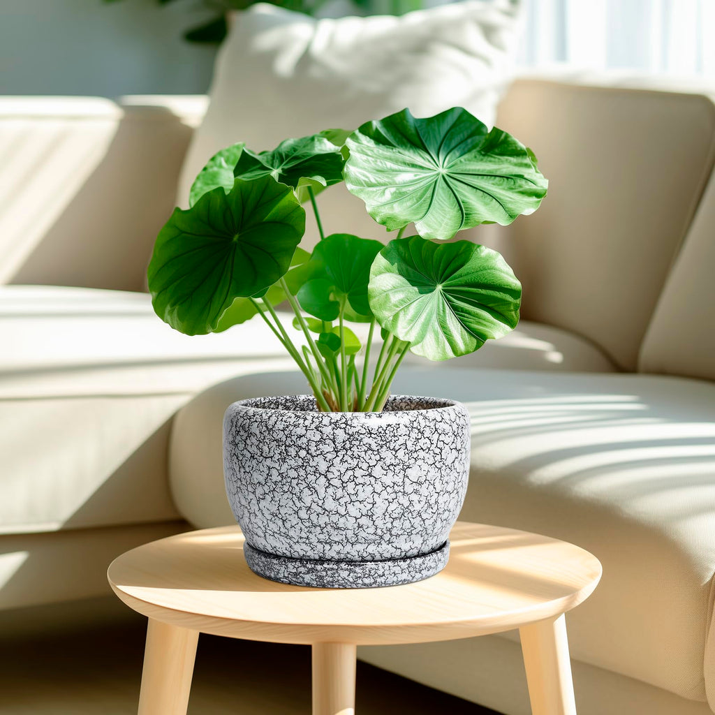 8 inch Plant Pot - Ceramic Planter with Drainage Hole and Saucer, Round Flower Pot for Indoor Plants, Decorative