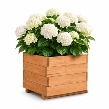 15.75" Square Wooden Planter Box, Fir Wood Planters for Outdoor Plants