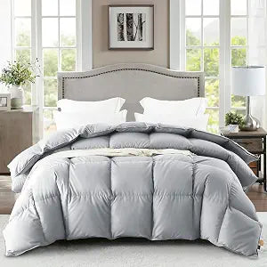 Queen Down Comforter, Luxurious All-Season Duvet Insert with noiseless Skin-Friendly Tencel Blend Cover, Cloud-Soft &