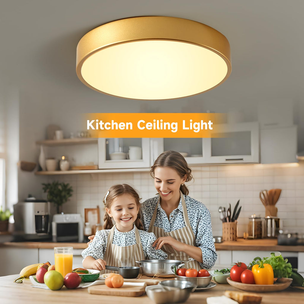 HLightnet Flush Mount Ceiling Light Gold LED Dimmable 5CCT 12 Inch 24W