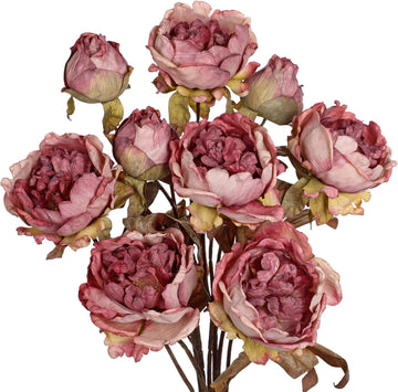 Artificial Dried Look Fall Peony Flowers 27.5in Tall Dusty Pink Vintage Silk Peony Bouquet Realistic Fake - Set of 3