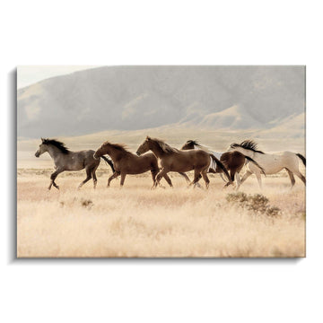Western Horses Picture Wall Art: Wild Animals Canvas Painting Farmhouse Horses Prints Wildlife Artwork