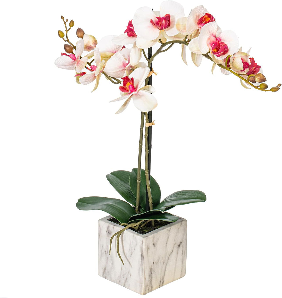 22" Indoor Artificial Pink and White Phalaenopsis Spray - Real Touch Petals - Decorative Ceramic Pot