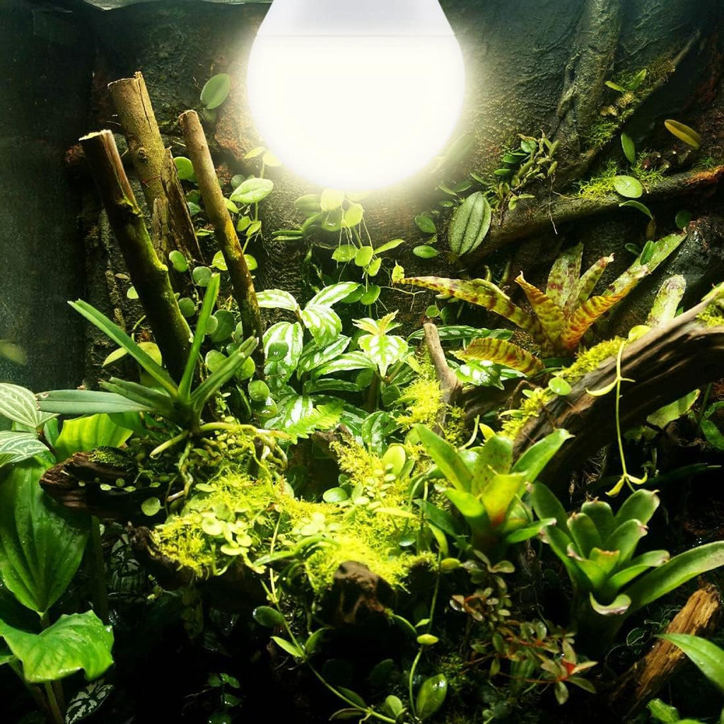 Grow Light Bulbs for Indoor Plants, Full Spectrum Grow Light Bulb, 11W LED Growing Plant Light Bulb for Seed