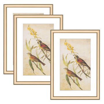 4x6 Brass Aluminum Frames 3Pack Fits 3x5 Mat Tabletop&Wall