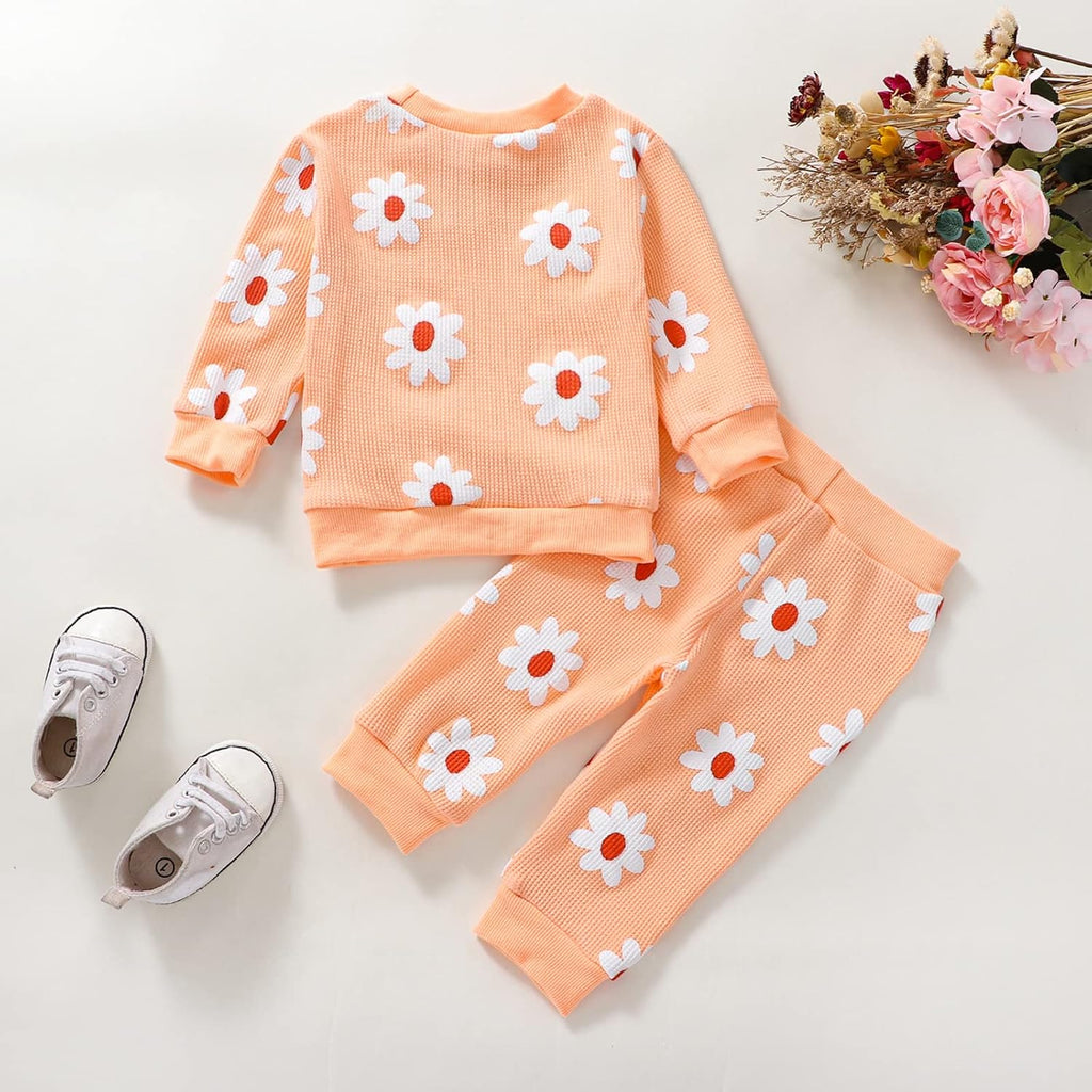 Newborn Baby Girls Flower Long Sleeve Tops Crewneck Sweatshirt and Long Pants Set 2Pcs Fall Outfits