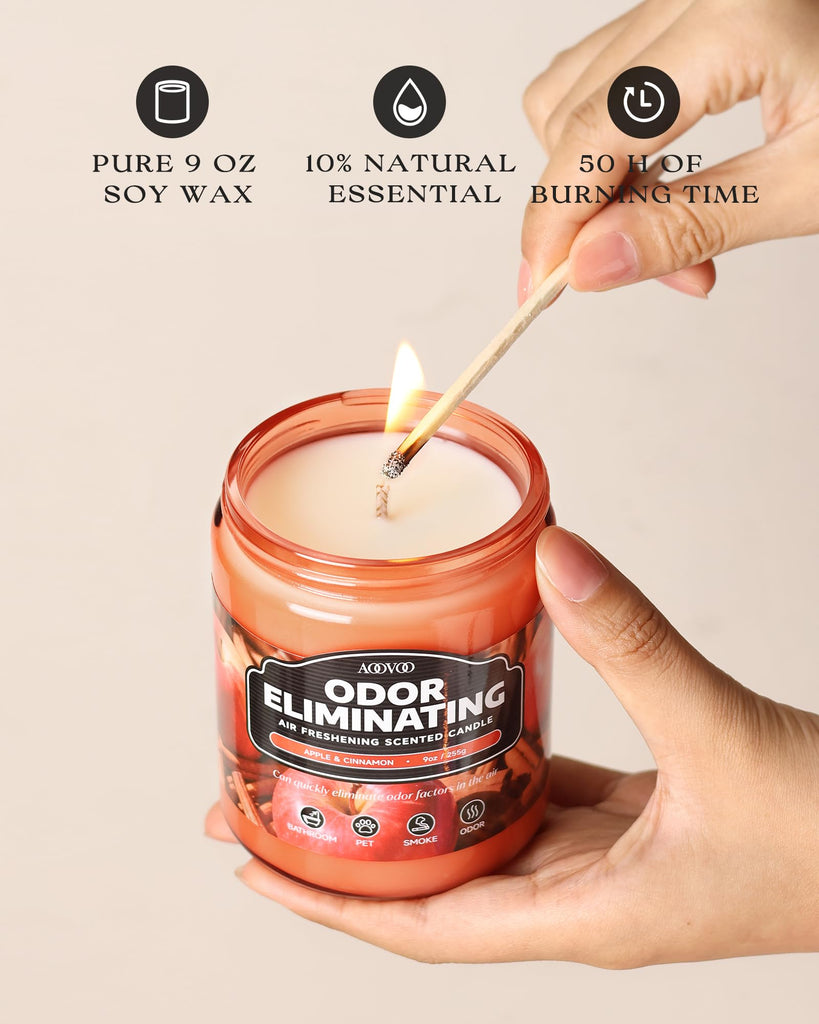 Apple Cinnamon Odor Eliminating Candle - 9 oz Fall Candles