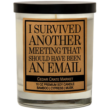Funny Candles for Women, Men, Adult Humor - This Meeting Could Have Been an Email - Funny Gift for Coworkers, Boss