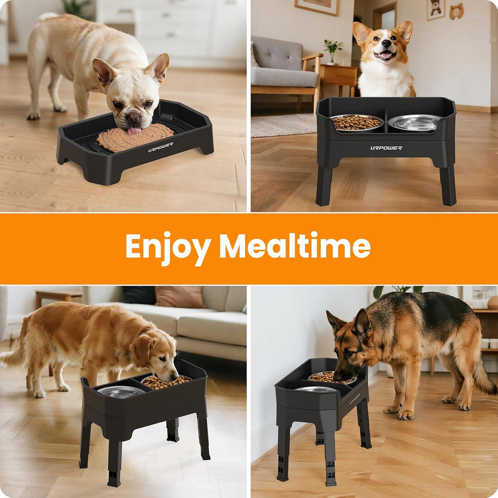 Elevated Dog Bowls, 3-in-1 Double Deck Raised Dog Bowl Stand