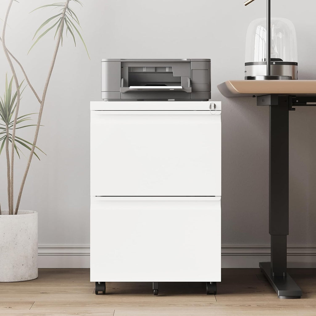 2 Drawer File Cabinet,Mobile Filing Cabinet with Lock and Wheels,Fully Assembled Metal Under Desk File Cabinets for