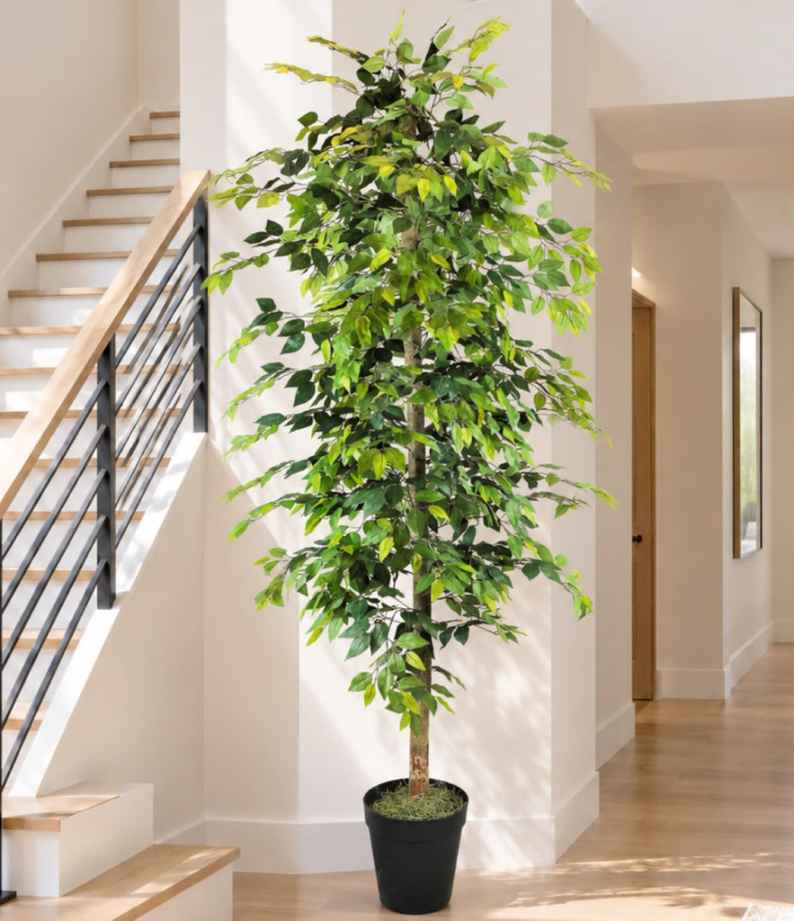 8ft Artificial Ficus Tree in Black Plastic Pot - Real Wood Trunk, No Maintenance Indoor Faux Plant - Living Room