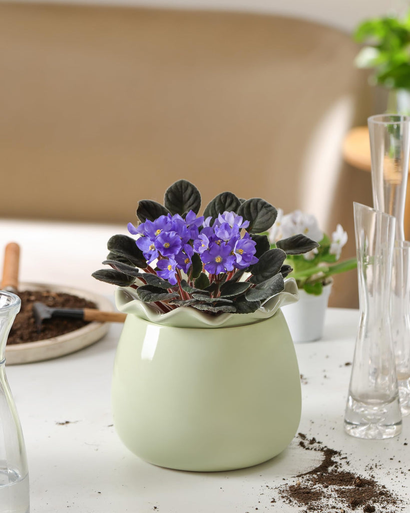 Self Watering Plant Pot, 6 Inch African Violet Pots Maintenance, Ceramic Self-Watering Planter for Indoor Plants