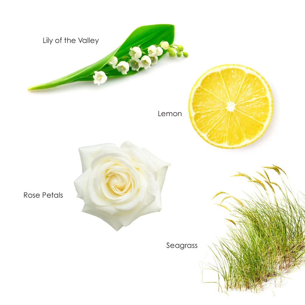 English Spa Luxury Candle (8oz), Sea Grass, Lemon, and Lily - USA Poured, Coconut Oil and Soy Wax Blend, Cotton Wick