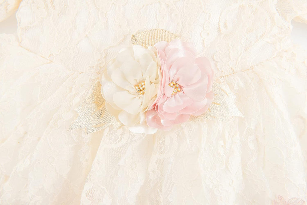 Newborn Baby Girl Lace Dress Set, 4pc Outfit for Special Occasions (US, Age, 0 Months, Pink, Ivory, Double Rose)