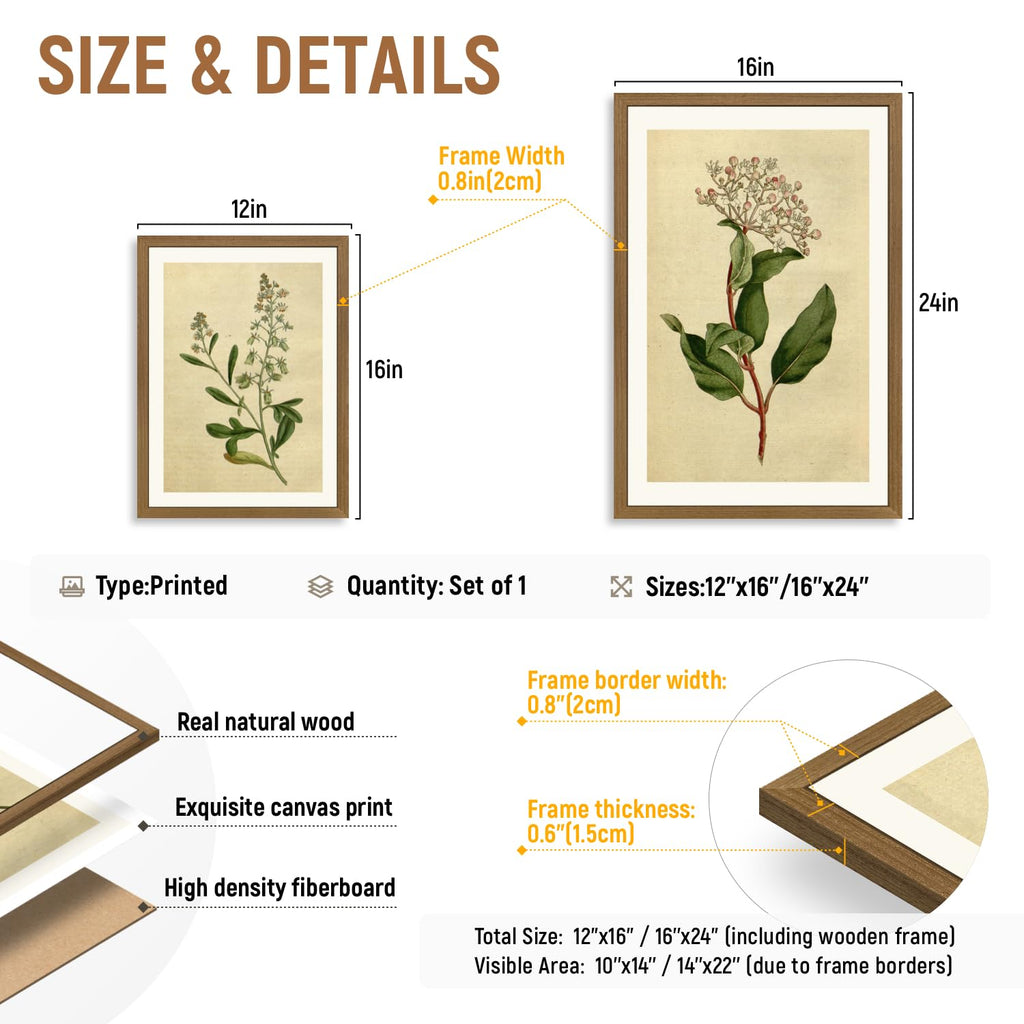 Wood Framed Vintage Botanical Wall Art Set of 3, Classic Herbarium Plant Prints, Green Botanical Illustration Wall