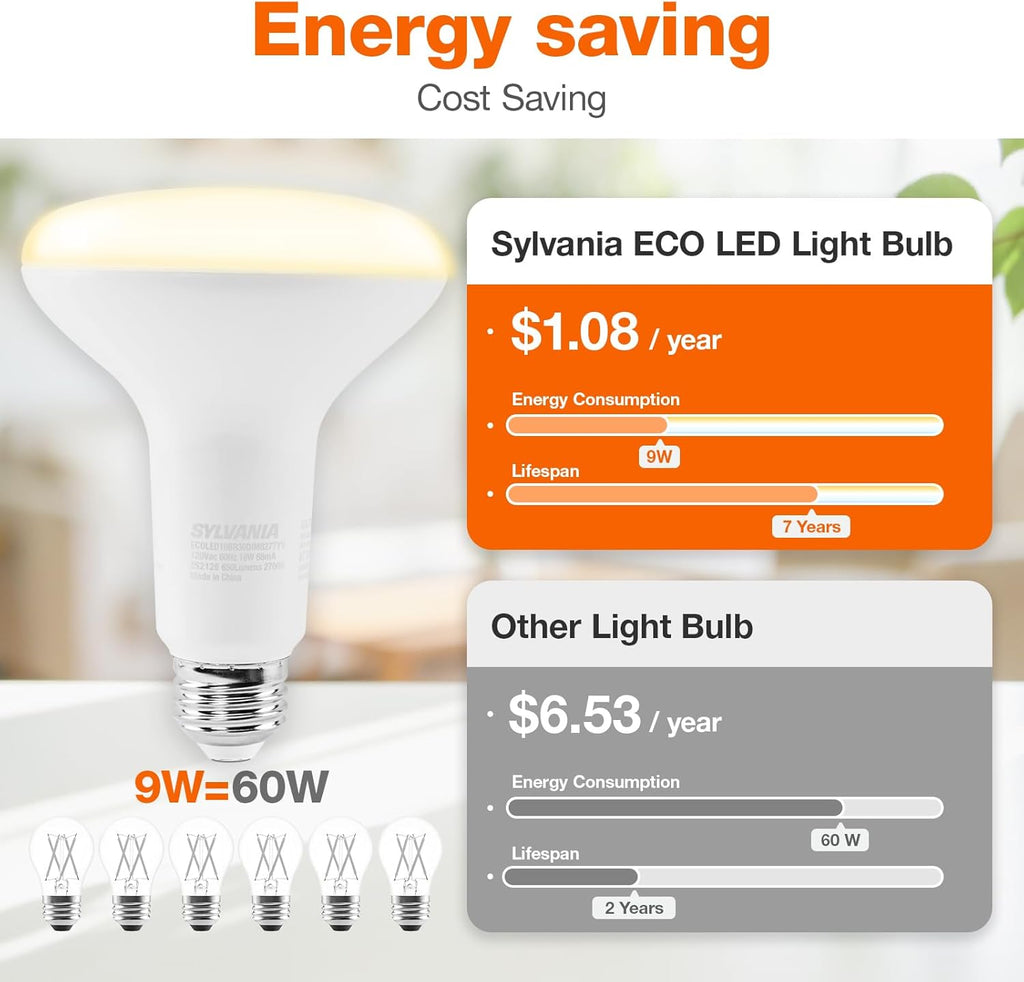 ECO LED BR30 Light Bulb, 65W = 10W, Dimmable, Frosted Finish, 650 Lumens, 2700K, Soft White - 4 Pack