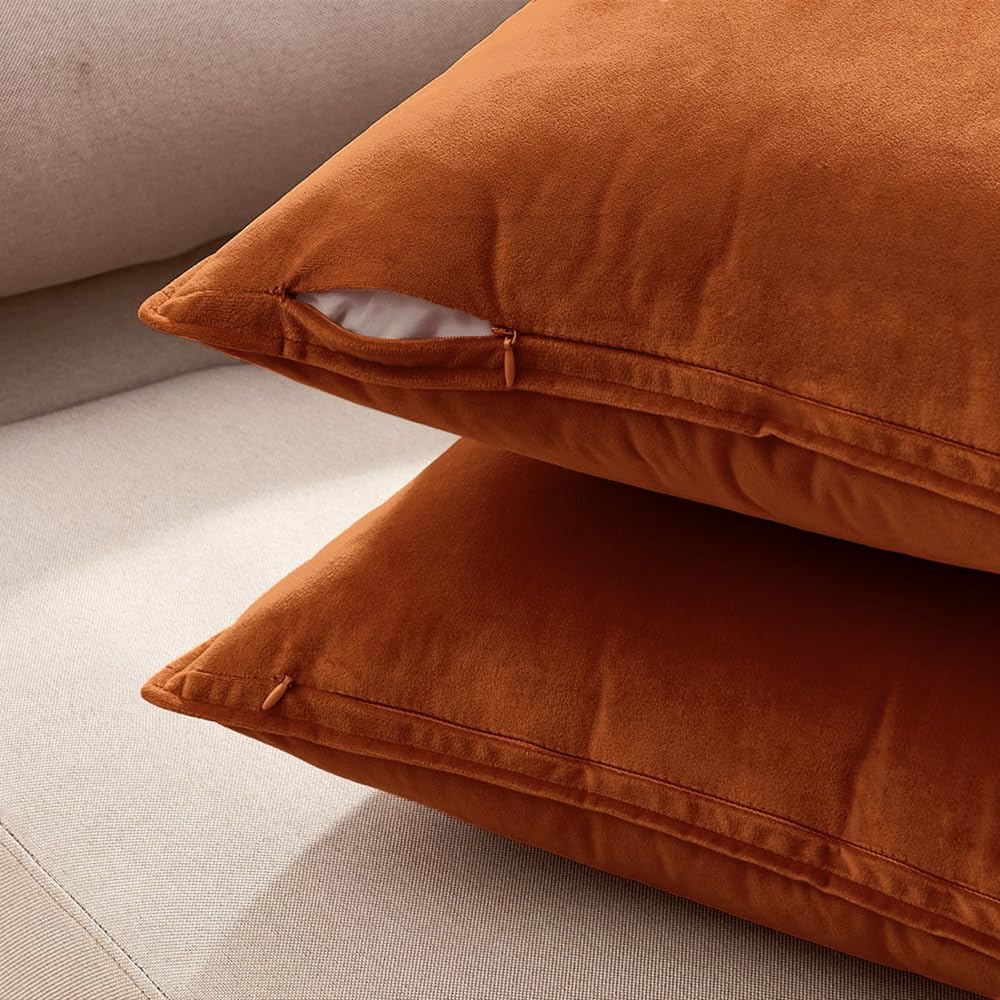 Fall Decorative Rust Velvet Throw Pillow Covers for Couch 20x20 Inch
