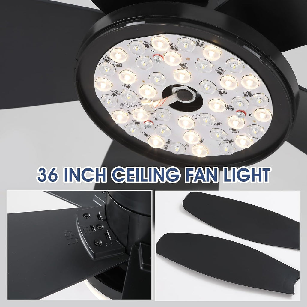 Flush Mount RGB Ceiling Fans with Lights-36 Low Profile Ceiling Fan with Light and Remote/APP Control,DC Reversible,LED Dimmable Black Ceiling Fans for Bedroom,Indoor/Outdoor Patio Use A101-B0F8HW8P6S