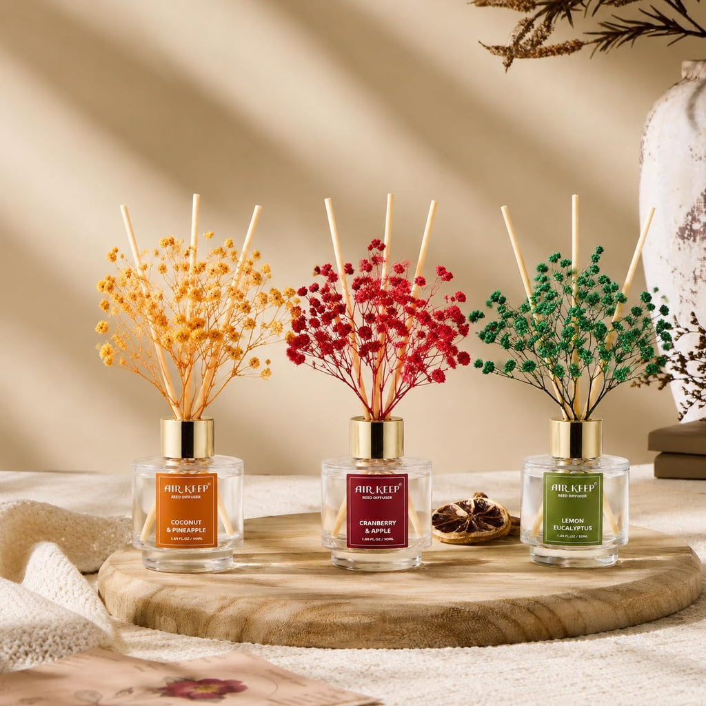 Reed Diffuser, Coconut Pineapple Lemon Eucalyptus Cranberry Apple Oil Reed Diffusers Living Room Office - Set of 3