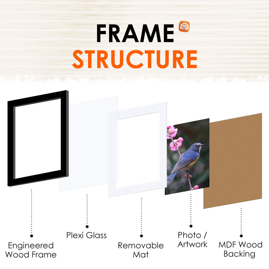5x7 Picture Frame Set of 10, Photo Frame Bulk with HD Plexiglass, Display Pictures 4x6 with Mat or 5x7 Without Mat