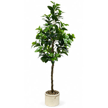 Artificial Ficus Tree Fake Plant with Beige Ceramic Pot Natural Pebbles Tall Faux Money Tree with Realistic Leaves