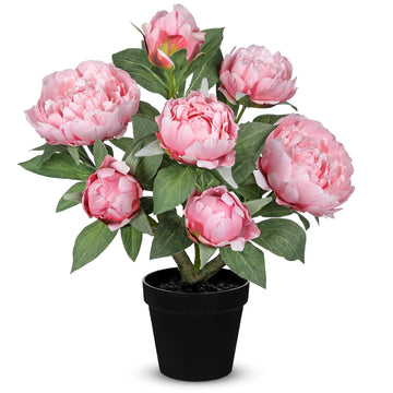 Pink Fake Peonies Artificial Flowers in Pot 16.9" Small Peonies Tree Indoor Outdoor Faux Plants & Flowers Peony Silk