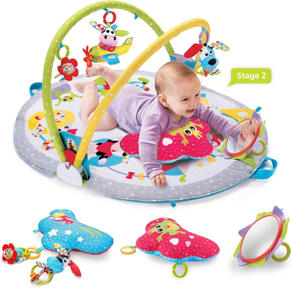 Baby Play Gym & Infant Mat - Lay to Sit-Up in-1 Activity Center