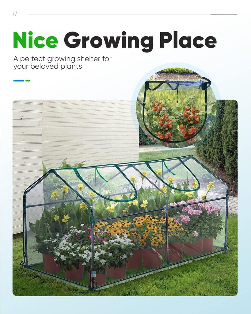 Mini Greenhouse for Indoor Outdoor, Portable Quick-Setup Tabletop
