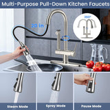 Kitchen Faucets with Filtered, Stainless Steel Filter Kitchen Faucet with Pull Down Sprayer Reduces Lead, Chlorine