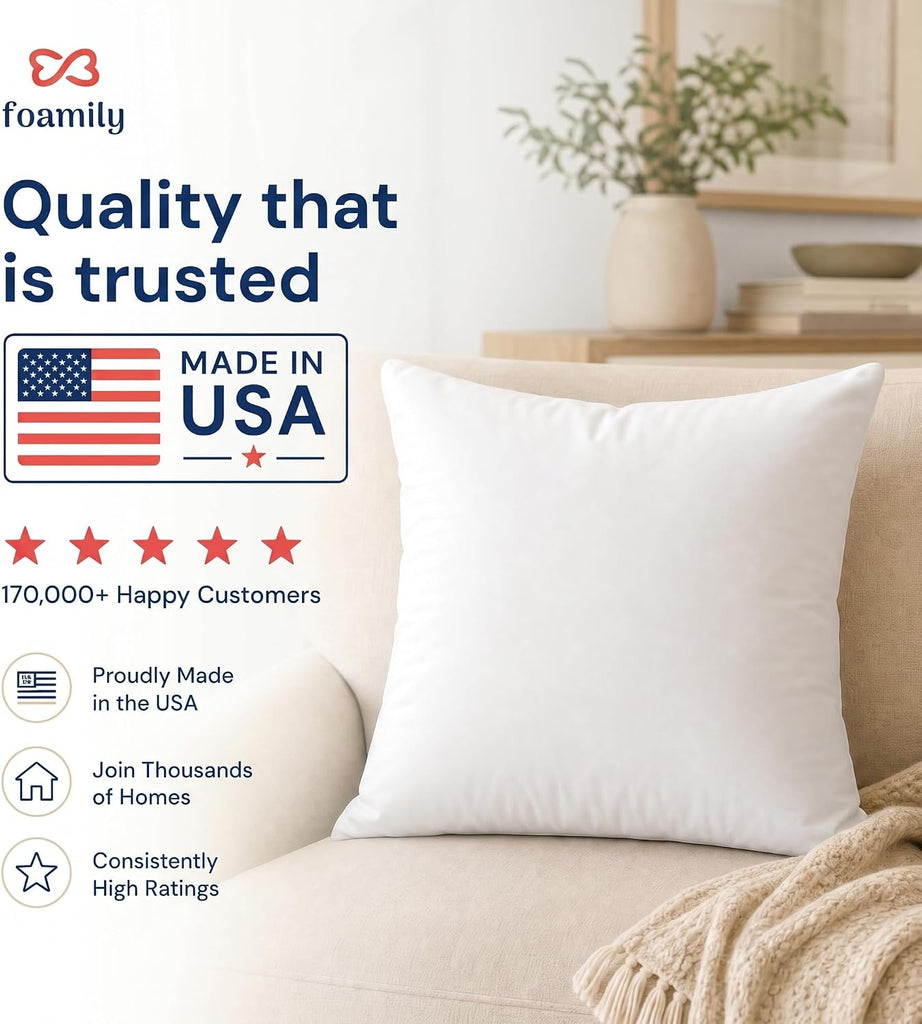 20x20 Throw Pillow Insert, White Pillows for Couch, Sofa & Bed