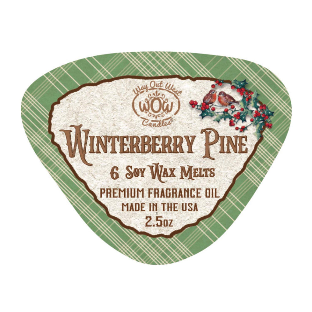 Soy Wax Melts Variety Pack of 4 - Winterberry Pine & Hot Apple Cider - Strongly Scented, Long-Lasting, Natural Soy