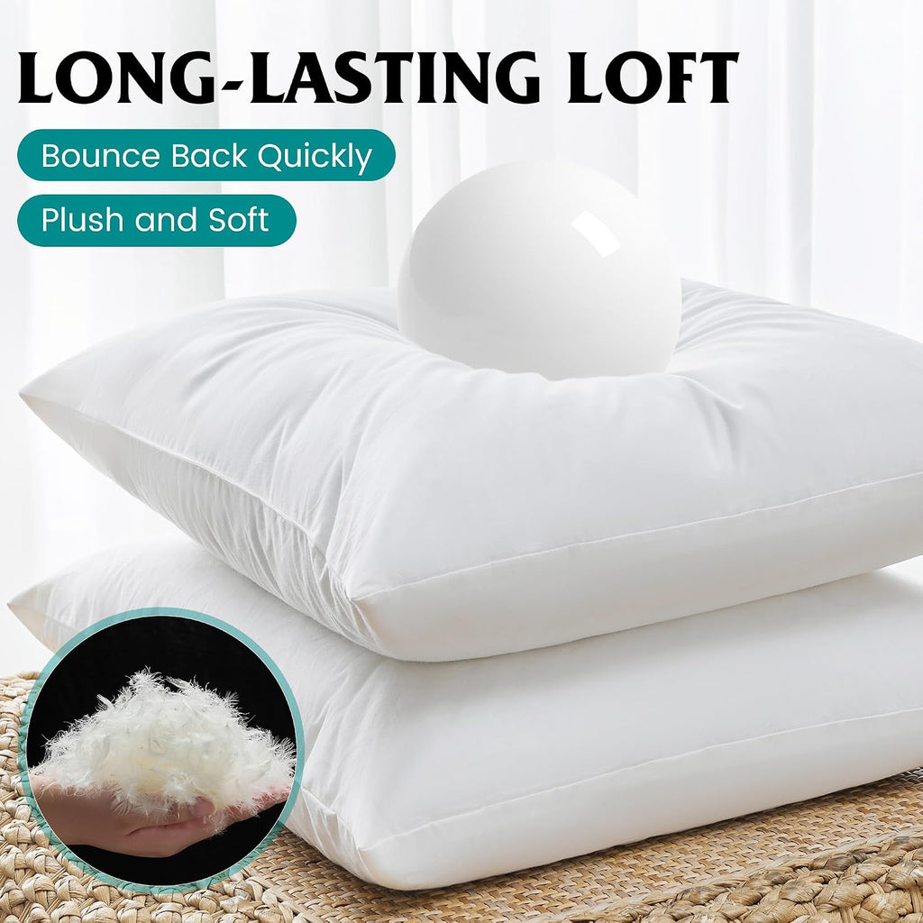 22 x 22 Down Feather Throw Pillow Inserts - Set of 2