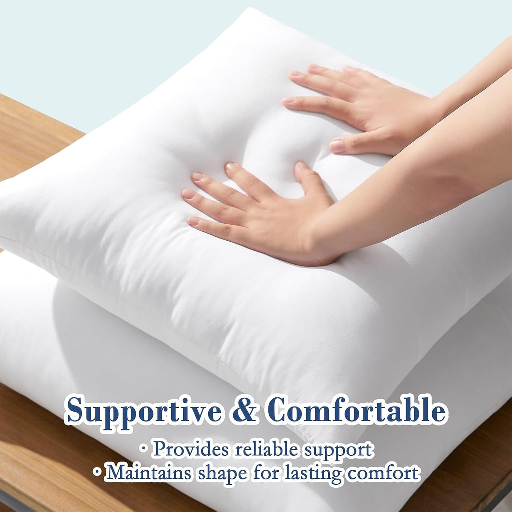 20x20 Outdoor Pillow Inserts, Down Alternative Filling - Set of 2