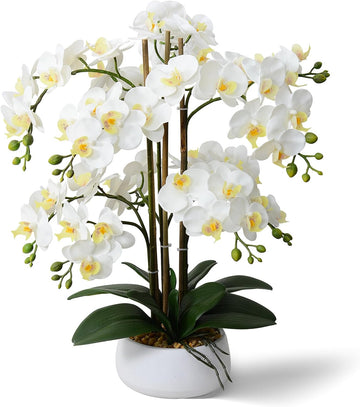 Artificial Orchid Flowers & Plants Potted in Ceramic Pot, White Faux Phalaenopsis Orchids for Table Centerpiece