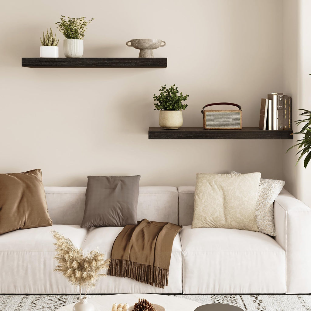 Floating Wall Shelves for Decor (Black, Set of 2, 22Inch)