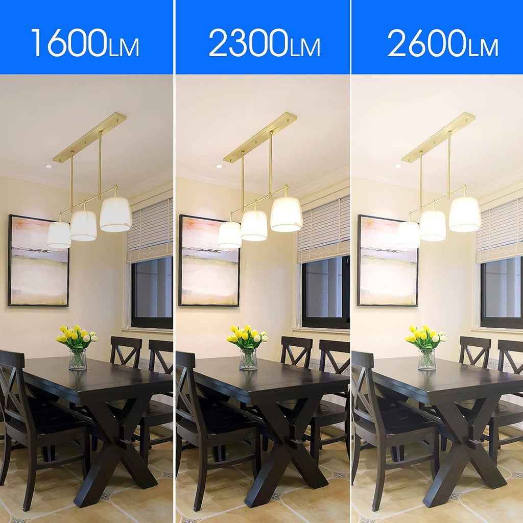 Super Bright Light Bulb 150 Watt Equivalent A21 LED Light Bulb, Cool White 4000K, 2600 High Lumens LED Bulb, E26
