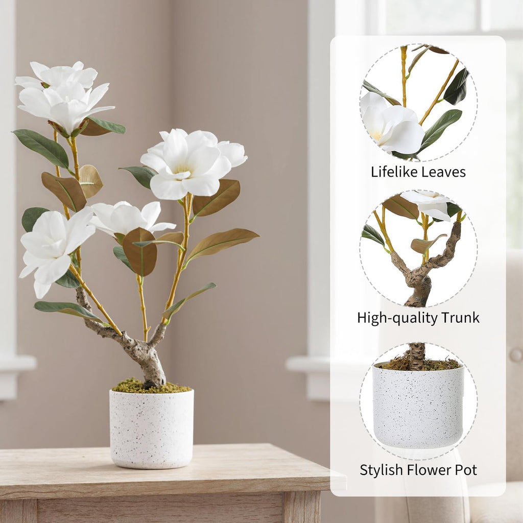 24" Artificial Magnolia Tree in White Planter, Realistic Magnolia Grandiflora with 6 Lifelike Flowers, Fake Potted