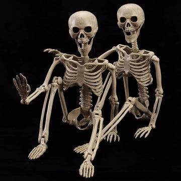 2-Pack 40" Pose-N-Stay Halloween Skeletons, Life-Size Full Body Realistic Posable Skeleton with Movable Joints - Set of 2