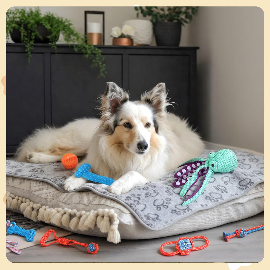 17 Pcs Puppy Gift Set, Dog Toy & Essentials Bundle, White, Octopus