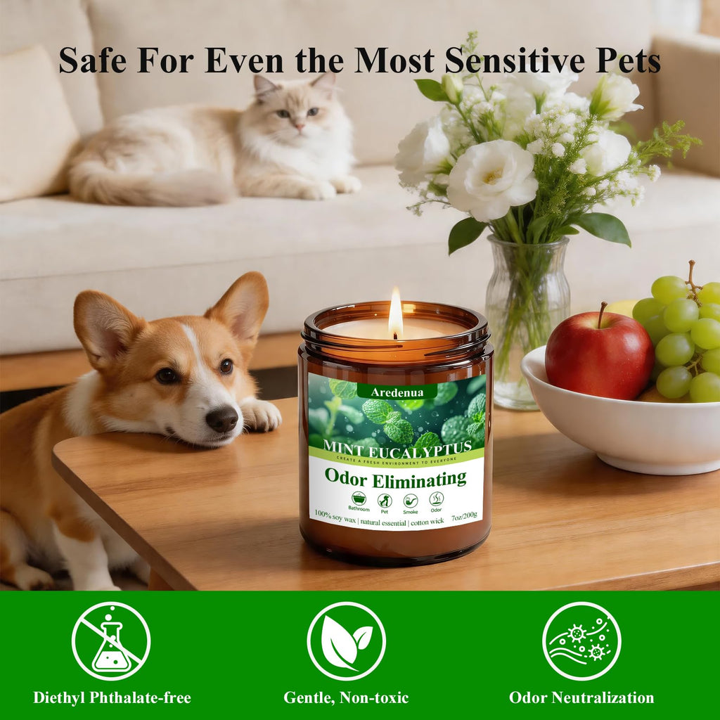 Mint Eucalyptus Odor Eliminating Candles, 7 oz Soy Scented Candle