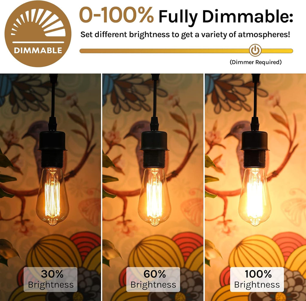 60 Watt Incandescent Edison Light Bulbs, Vintage Dimmable E26 Bulbs, ST58 2200K Warm White Antique 260LM E26 Medium