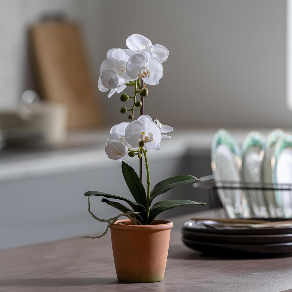 15-Inch Real Touch Artificial Phalaenopsis Orchid in Pot, White
