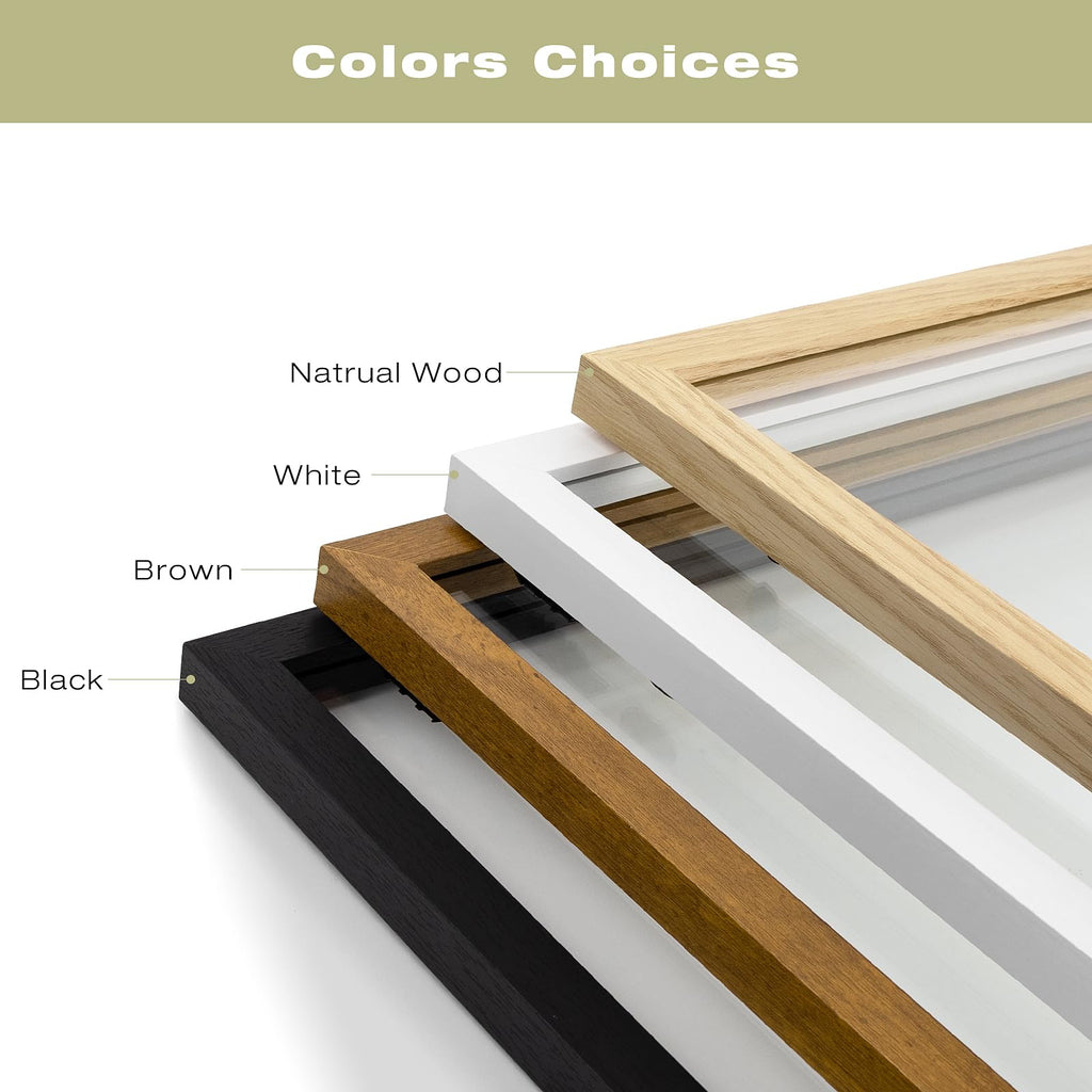 11x14 Floating Picture Frame White - Solid Wood for Pressed Flower -1 Pack