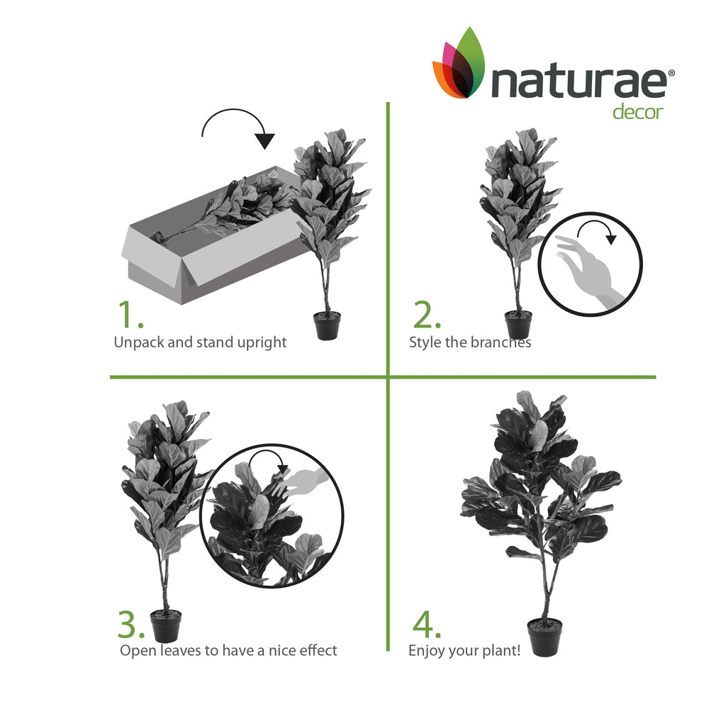 Fiddle Plant - Lifelike Artificial Indoor House Plant - 49 in High