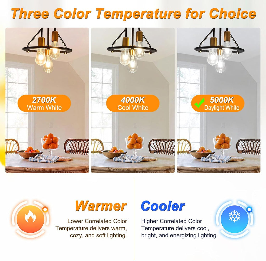 LED Edison Bulbs, E26 Base Vintage Light Bulb, 6W (60W Equivalent)