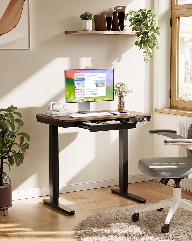Electric Standing Desk, 35 x 20 Inch Sit Stand Desk, Walnut