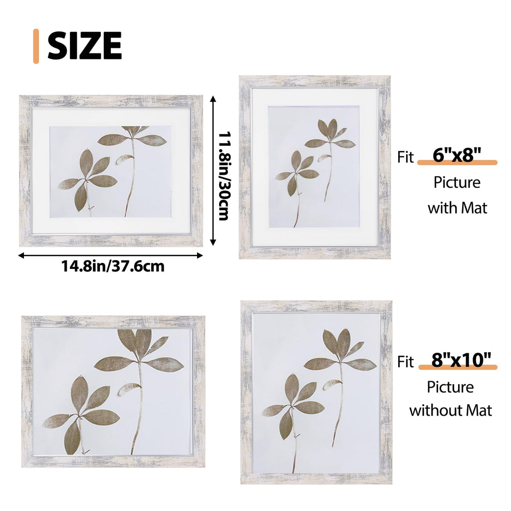 8x10 Picture Frame Set of 5 with Tempered Glass, Silver White